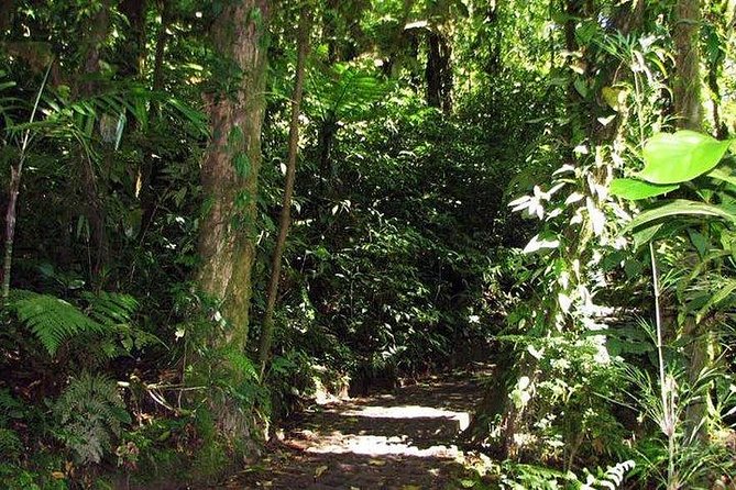 5-In-1 Monteverde Cloud Forest Experience With Ziplining and Hanging Bridges - Customer Review and Directions