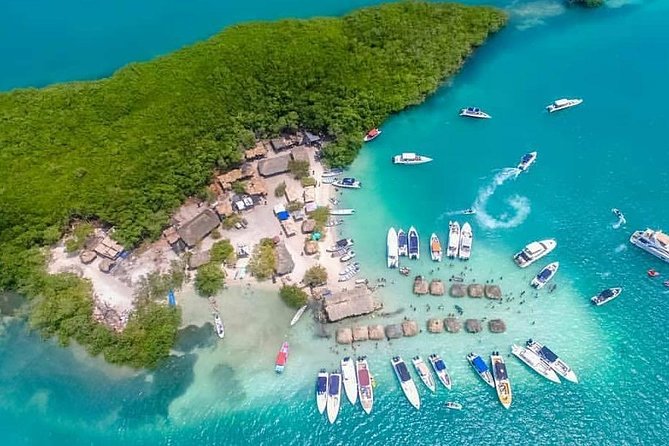 5 Islands With Snorkel Including - Unique Marine Life Experiences