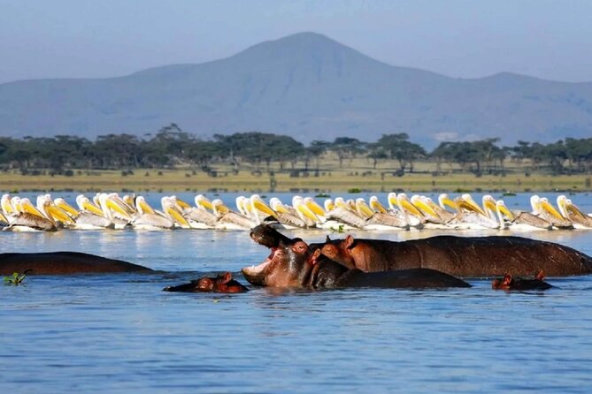 5DAYS Masai Mara Nakuru Naivasha Joining Group Budget Safari - Safety Guidelines