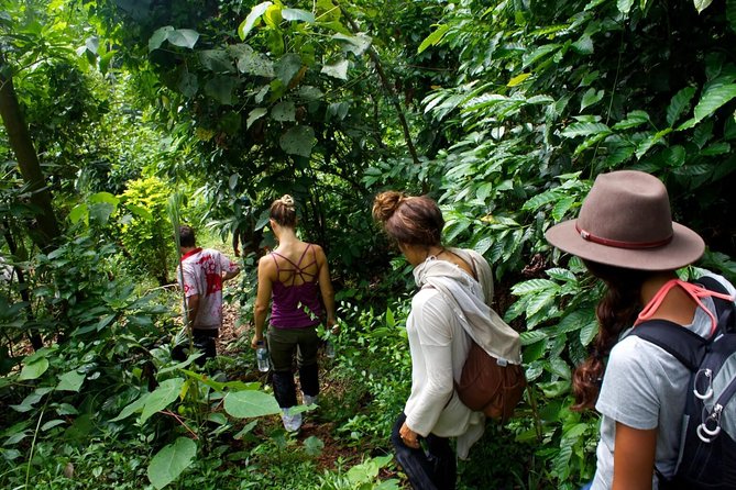 6-Day Authentic Experiences in Sri Lanka - Culinary Exploration