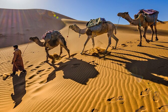 6 Day Camel Trek Desert Morocco Adventure Tour