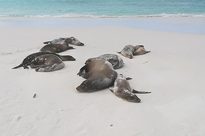 6-Day Galapagos Hotel-Based Tour: Snorkel,Hike,Wildlife in Isabela & Santa Cruz - Additional Info