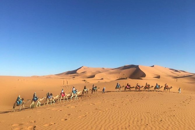 6-Day Morocco Private Tour From Casablanca to Marrakech - Service Details