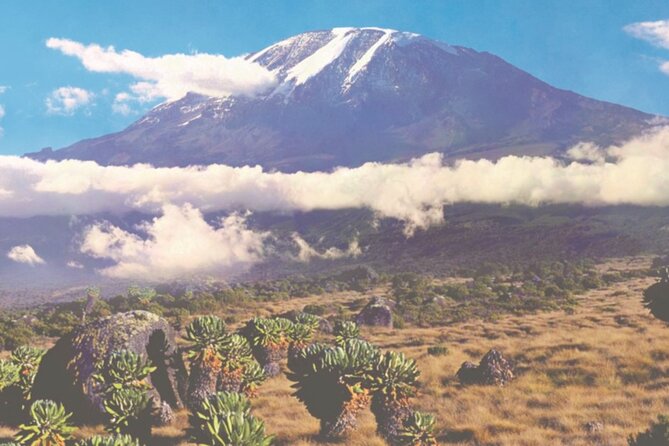6-Day Private Kilimanjaro Climbing Machame Route From Arusha - Booking Information