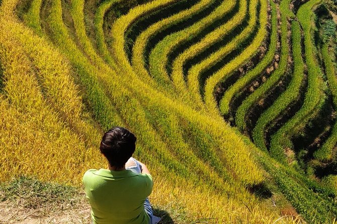 6-Day Private Tour From Guilin to Xiamen - Tour Highlights