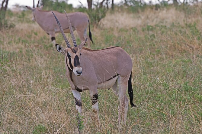 6-Day Private Tour in Samburu, Nakuru and Maasai Mara - Cancellation and Refund Policy