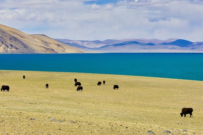 6-Day Small Group Lhasa City and Holy Lake Namtso Tour From Sanya - Tour Details and Requirements