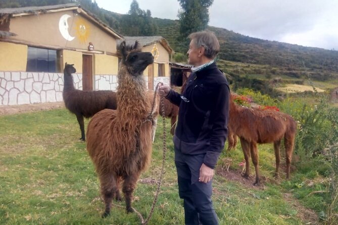 6-Day Tour of the Cusco of the Incas With Pick-Up - Booking Information