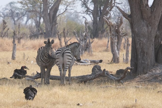 6 Day Walking Safari Botswana - Cancellation Policy