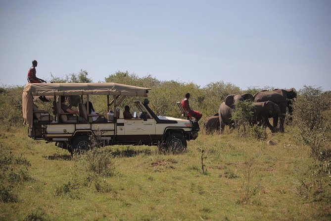 6 Days Amboseli, Lake Naivasha & Masai Mara Safari on 4x4 Jeep - Dining Experiences