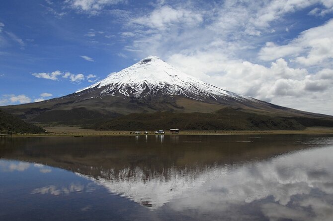 6 Days Ecuadorian Highlands Explorer: Roses, Biking, and Beyond - Rose Farm Experience