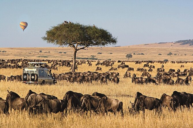 6 Days Lake Naivasha, Lake Nakuru & Masai Mara Safari - Accommodation Details