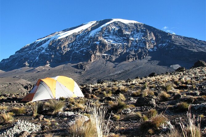6 Days Marangu Route Kilimanjaro - Booking Your Adventure