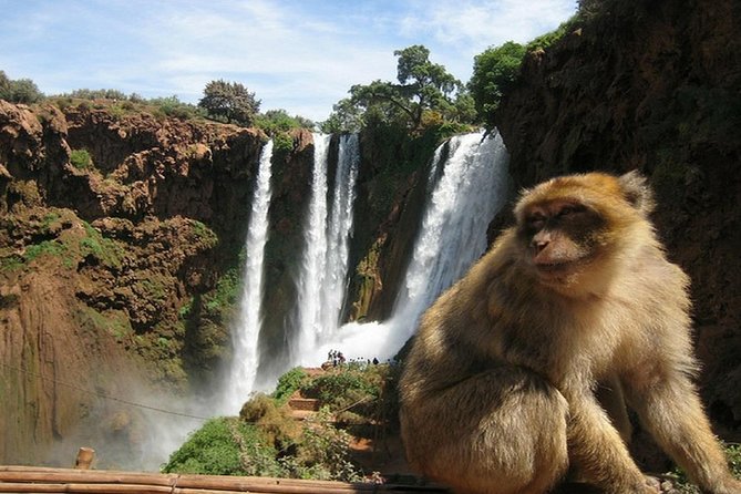 6 Days Morocco Tour From Casablanca - Cancellation Policy