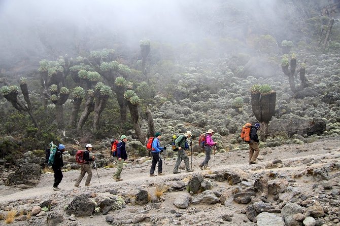 6 Days Mount Kilimanjaro Umbwe Route