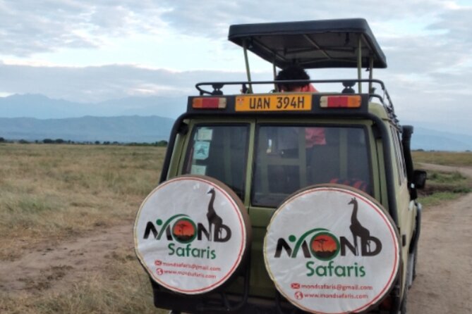 6-Days of Gorilla Safari, Chimps Tracking & Wildlife in Uganda - Day 3: Gorilla Trekking Expedition