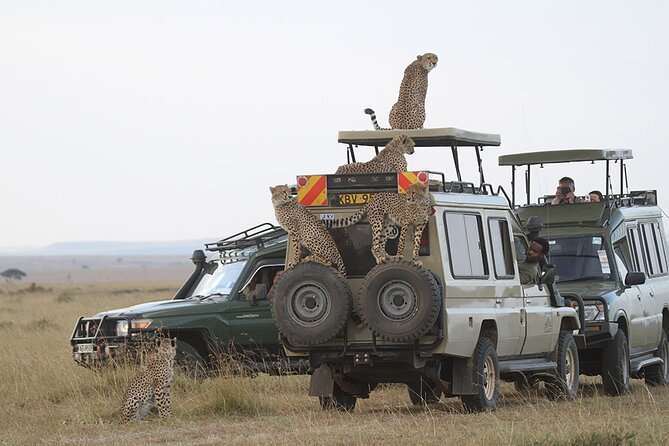 6-Days Private Luxury Safari: Serengeti, Ngorongoro Crater - Pickup and Drop-off Details