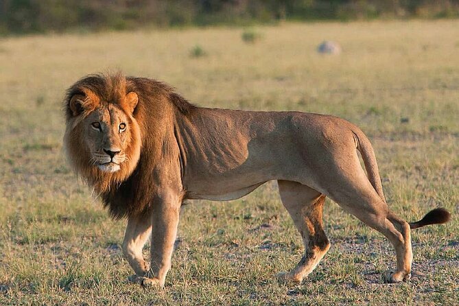 6 Days Private Tour With Two National Parks and More - Tour Duration and Location