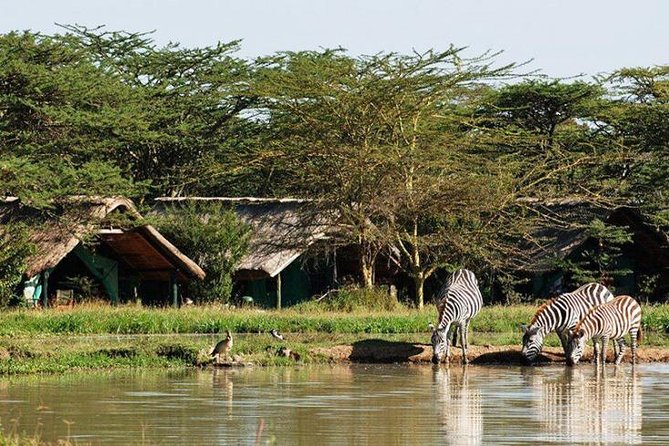 6 Days Samburu Sweetwaters Lake Nakuru & Lake Naivasha Wildlife Safari - Accommodation and Dining Details