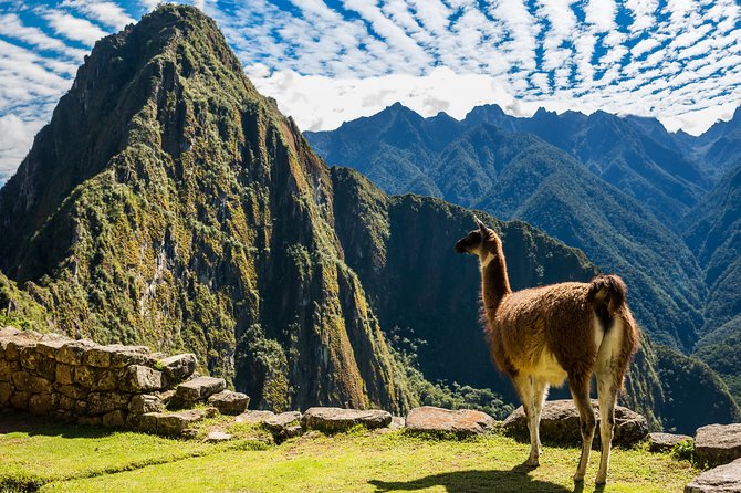 6 Days the Heart of the Empire From Cusco - Accommodation Details