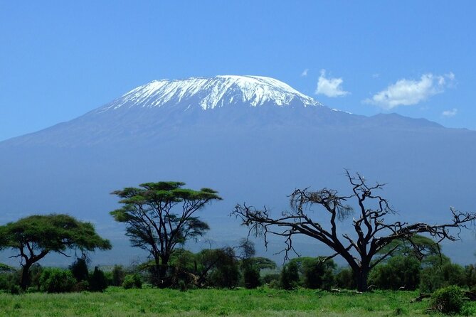 6 Days Trekking Mount Kilimanjaro Through Machame Route. - Cancellation Policy Information