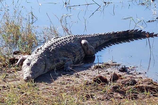 6 Days Victoria Falls Chobe Wildlife and Okavango Delta Tour - Accommodation Details