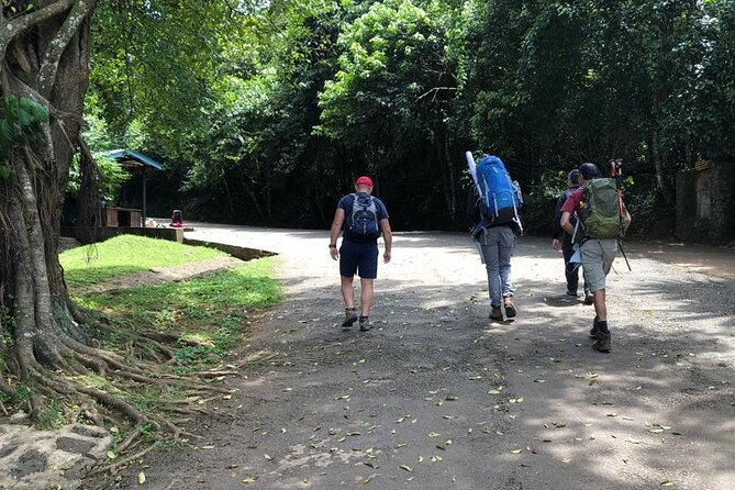 6 Hours Kilimanjaro Day Hike to Mandara Hut and Maundi Crater