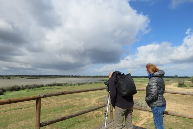 6 Hrs Private Tour of Northern Doñana - Operating Hours and Price