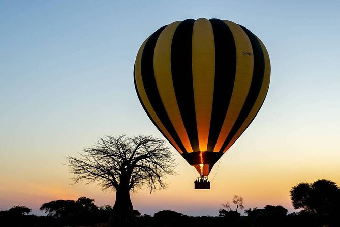 7-Day Private Northern Tanzania Safari
