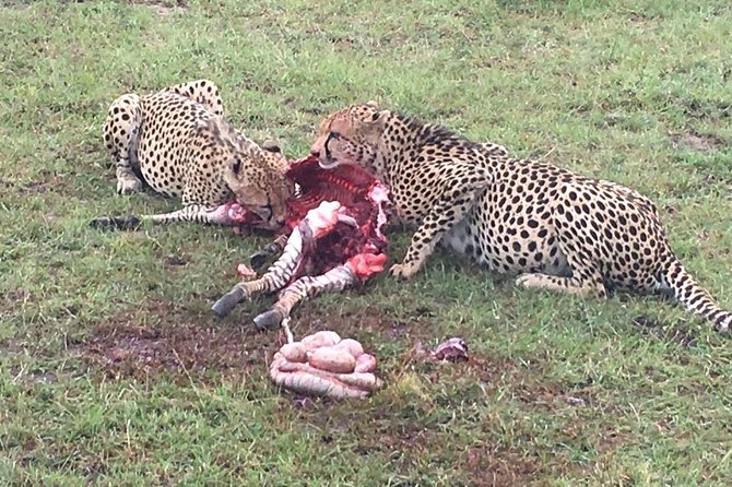 7 Days Adventurous Maasai Mara – Naivasha – Nakuru – Amboseli - Day 7: Return to Nairobi