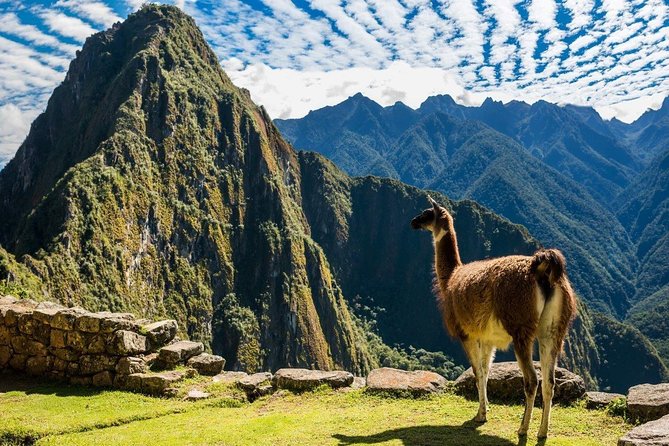 7 Days Best of Peru From Lima - Itinerary Overview