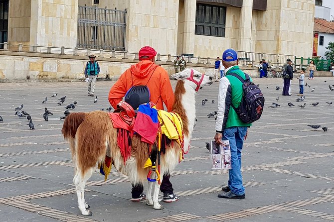 7 Days Bogotá, Villa De Leyva And Barichara - Day 4: Cultural Immersion