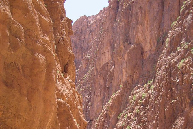 7 Days : From Casablanca to Marrakech via : Fes & Merzouga Desert - Local Guided Experiences