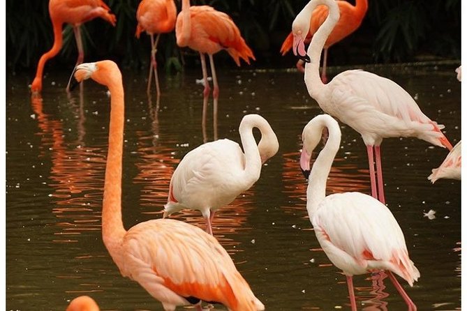 7 Days Kenya Cycling Wildlife Tour Adventure - Frequently Asked Questions