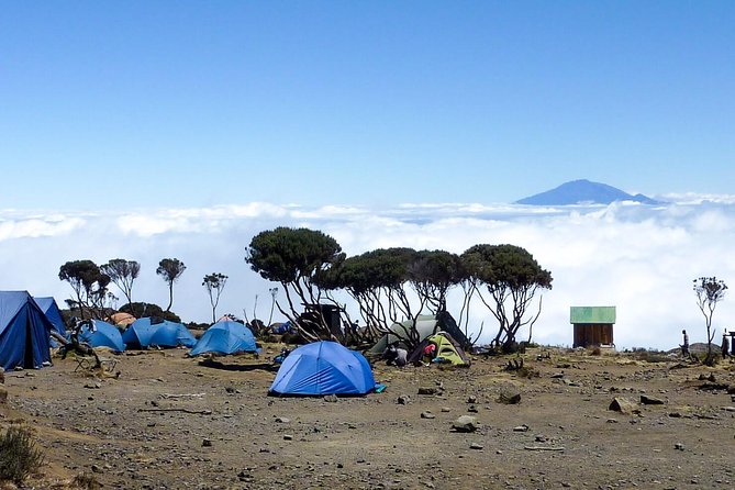 7 Days Mount Kilimanjaro- Marangu Route - Transportation Details