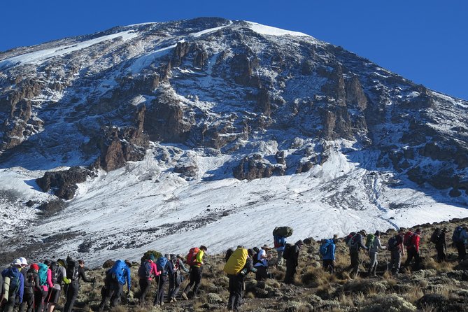 7 Days Mount Kilimanjaro Trekking Through Umbwe Route