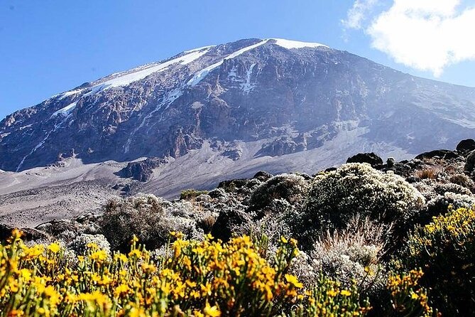 7 Days Mount Kilimanjaro Trekking via Machame Route