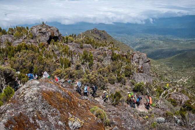 7 Days Mt Kilimanjaro Climbing Rongai Route - Group Joining Tour - Equipment Provided
