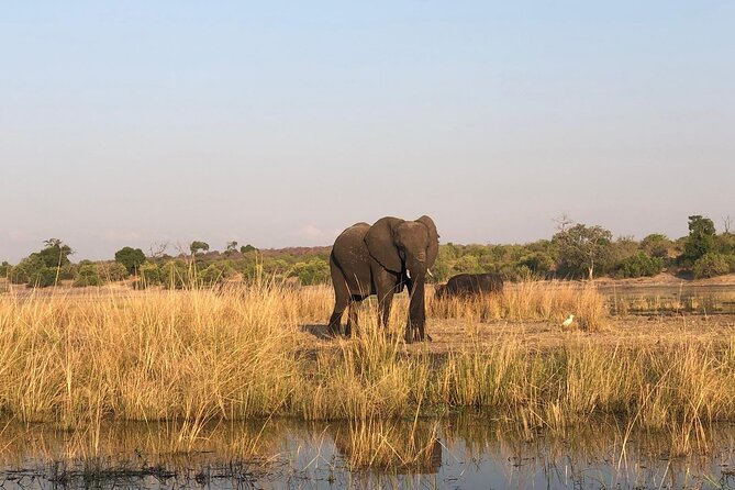 7 Hour Game Drive Trip and Boat Cruise in Chobe National Park - Booking and Cancellation Policy