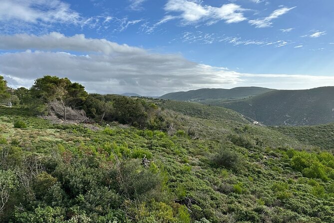 7 Hour Shared 4x4 Off Road Experience in Zakynthos - Traveler Requirements