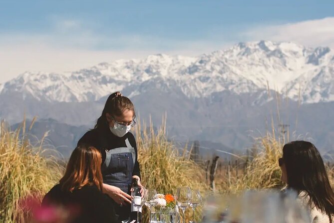 7 Hours of Transfer Through Valle De Uco. Private Transport - Pickup Locations and Timing