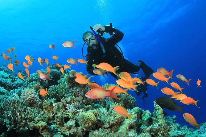 7-Hours Scuba Diving & Snorkeling With Lunch in Hurghada - Inclusions