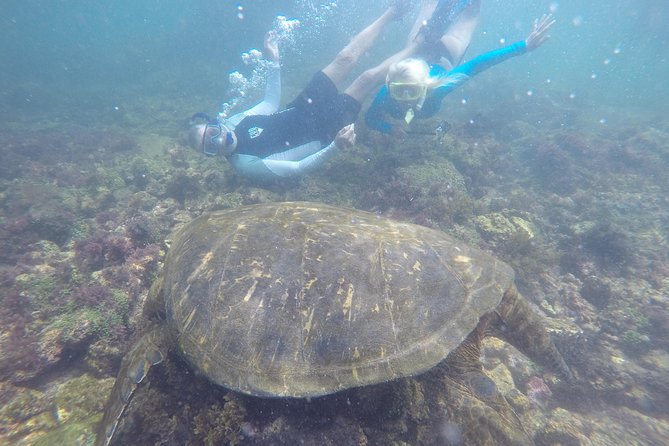 8-Day Galapagos Full Adventure Tour: Snorkel, Diving, Hiking, Bikes & Kayaking - Professional Guide Information