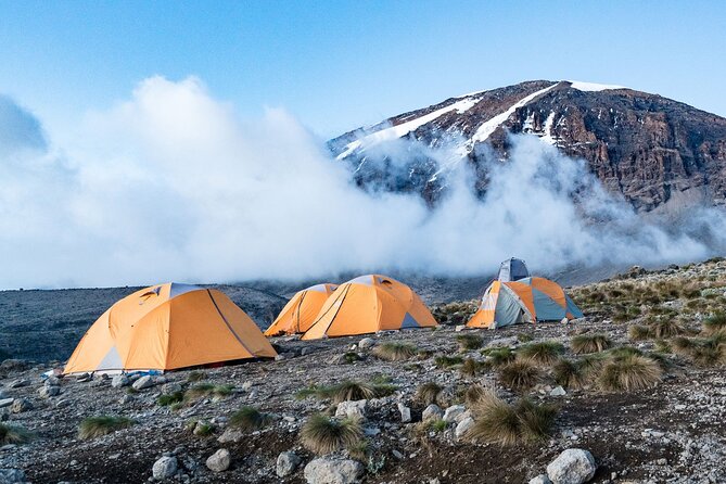 8 Day Kilimanjaro Climbing Via Lemosho Route - Day 3: Big Tree Camp to Shira 1 Camp