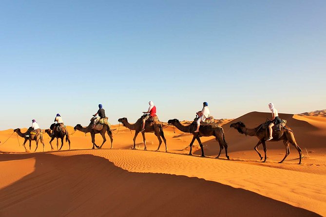 8 Day Morocco Imperial Cities Tour From Casablanca - Desert Camping Experience