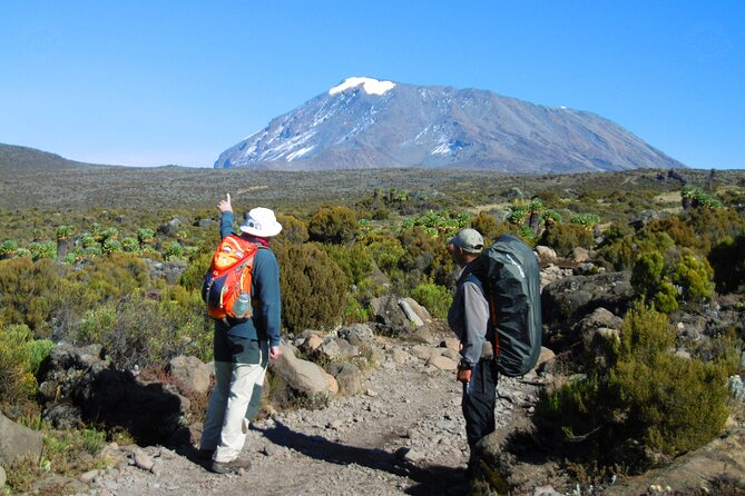 8-Day Mount Kilimanjaro Hiking Tour From Arusha - Pickup Information