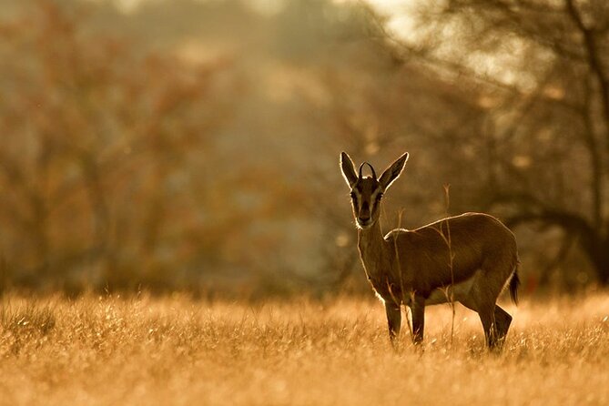 8-Day Private Golden Triangle Tour From New Delhi - Directions