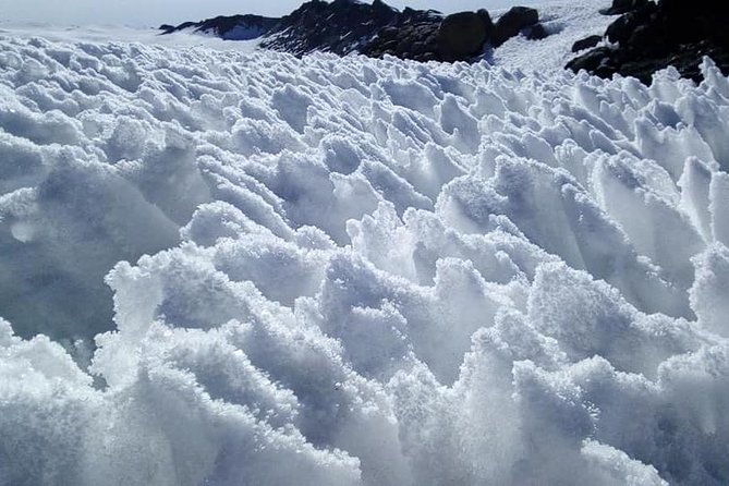 8-Day Private Kilimanjaro Climb via Lemosho Route From Arusha - Meals Included