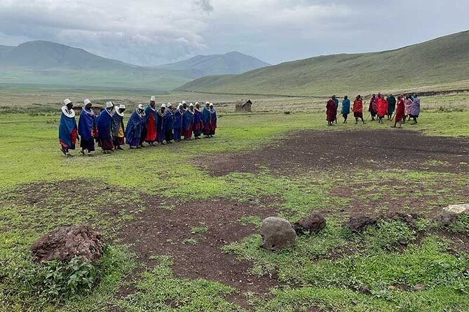 8-Day Private Safari in Kenya and Tanzania Tour - Accommodation Details