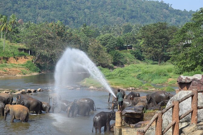 8 Days Adventure Tour With Chauffeur and Air-Condition Vehicle - Pickup Details